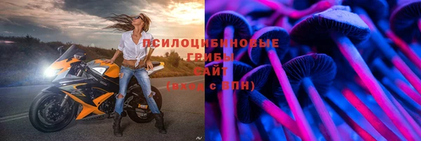бошки Бугульма