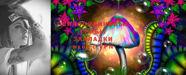 бошки Бугульма
